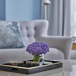Lanson Place Winsland, Singapore