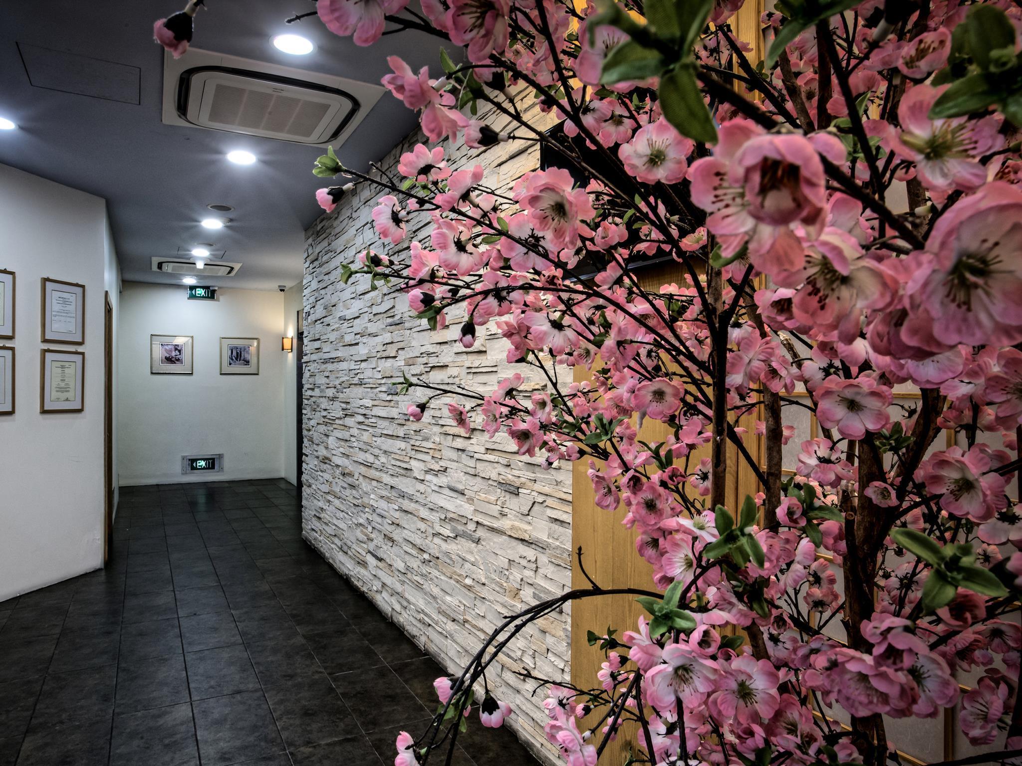 81 Sakura Singapura