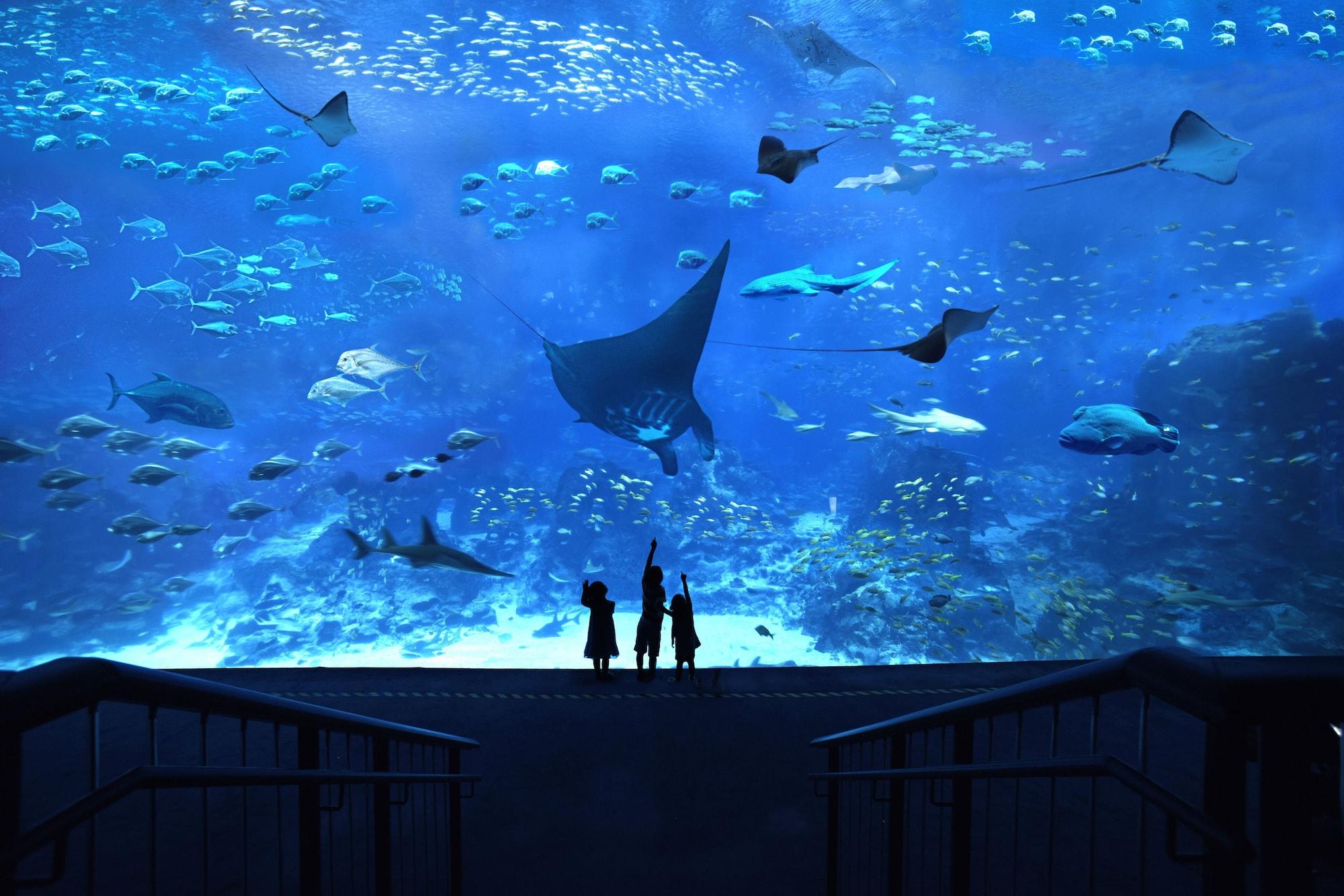 World Sentosa - Equarius Resort 5*