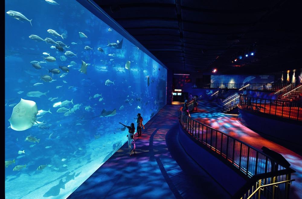 World Sentosa - Equarius Resort
