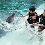 Resorts World Sentosa - Hotel