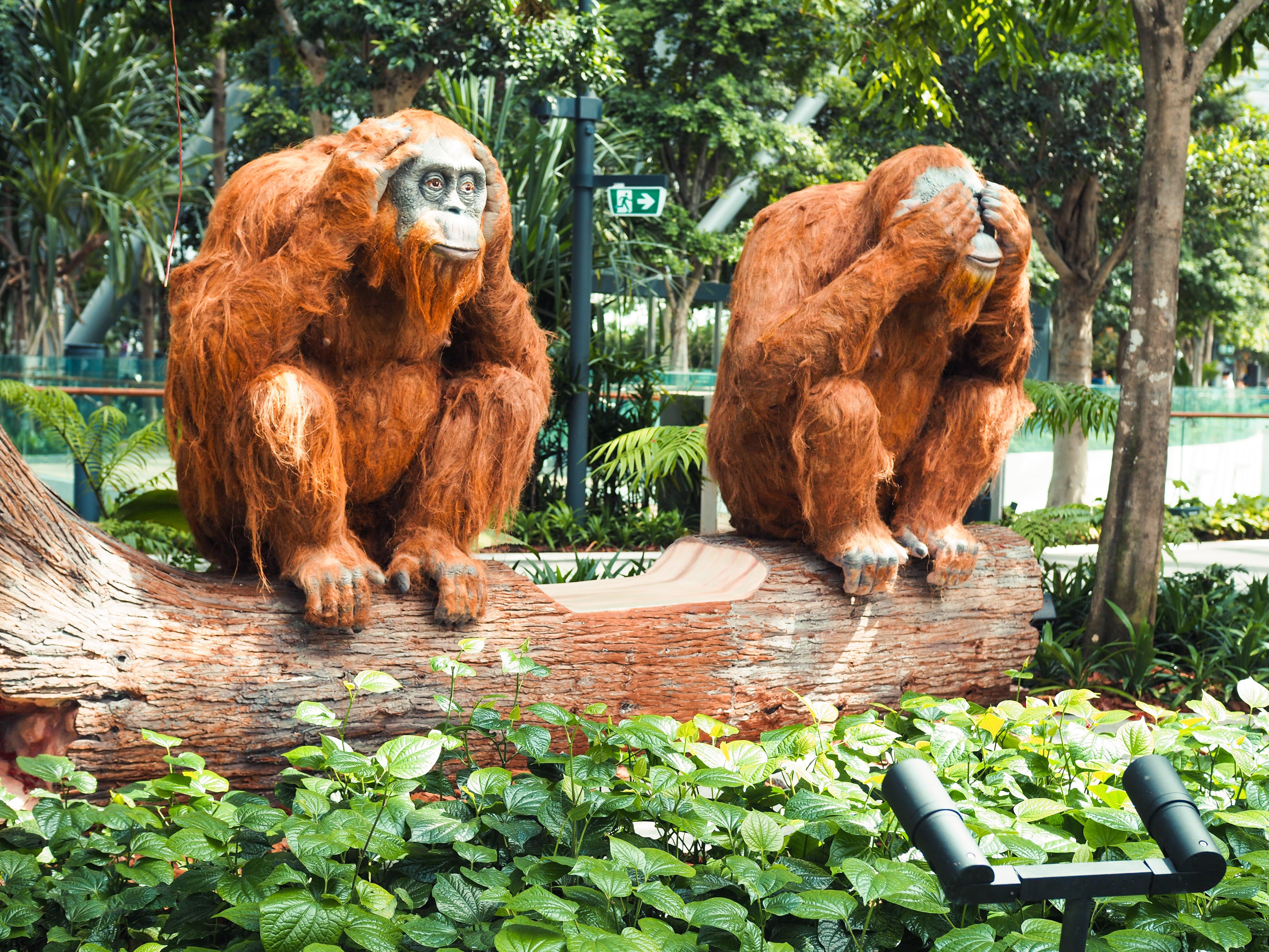 Crowne Plaza Changi Airport By Ihg Hotel 5*