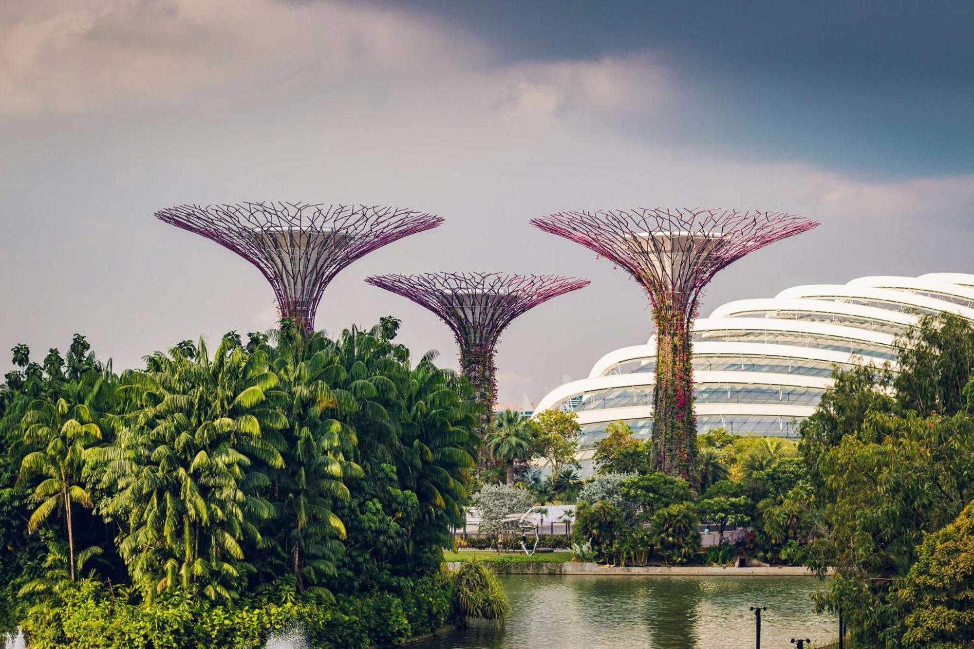 Hotel Conrad Marina Bay 5*