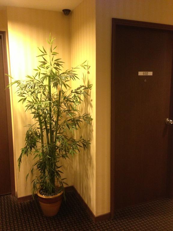 85 Garden Singapura