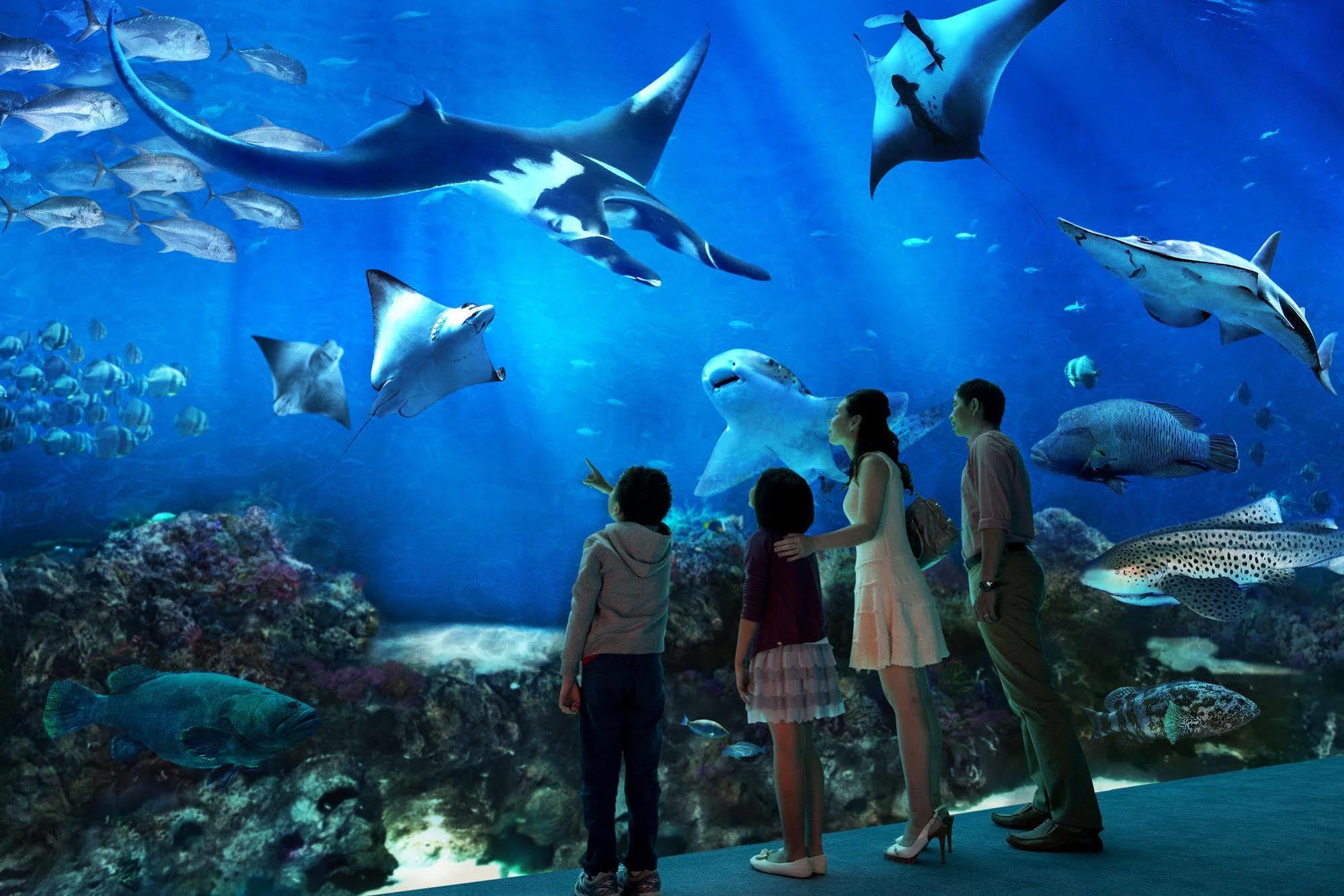 Resorts World Sentosa - Hotel 5* Singapore
