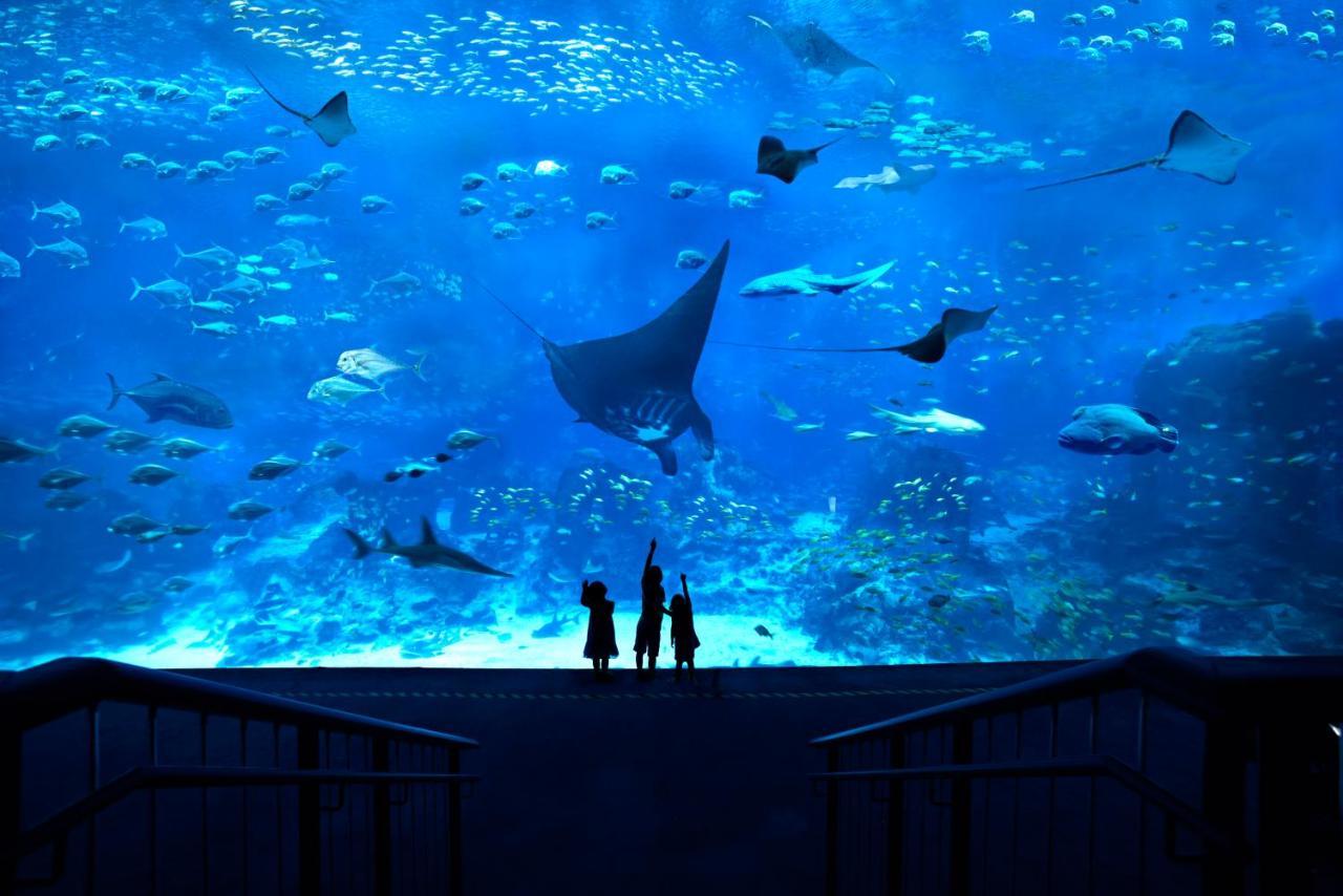 Resort World Sentosa - Festive Singapore