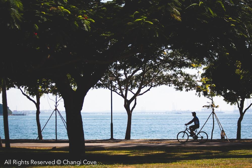 Changi Cove 4*