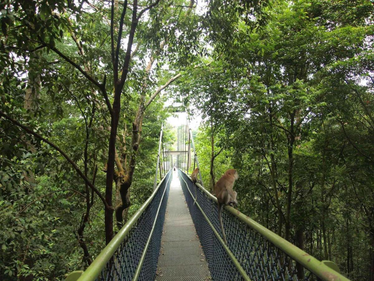 Lion Peak Hamilton Hotel Singapore