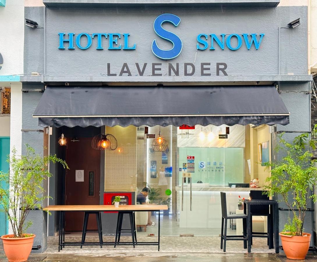 Snow Lavender