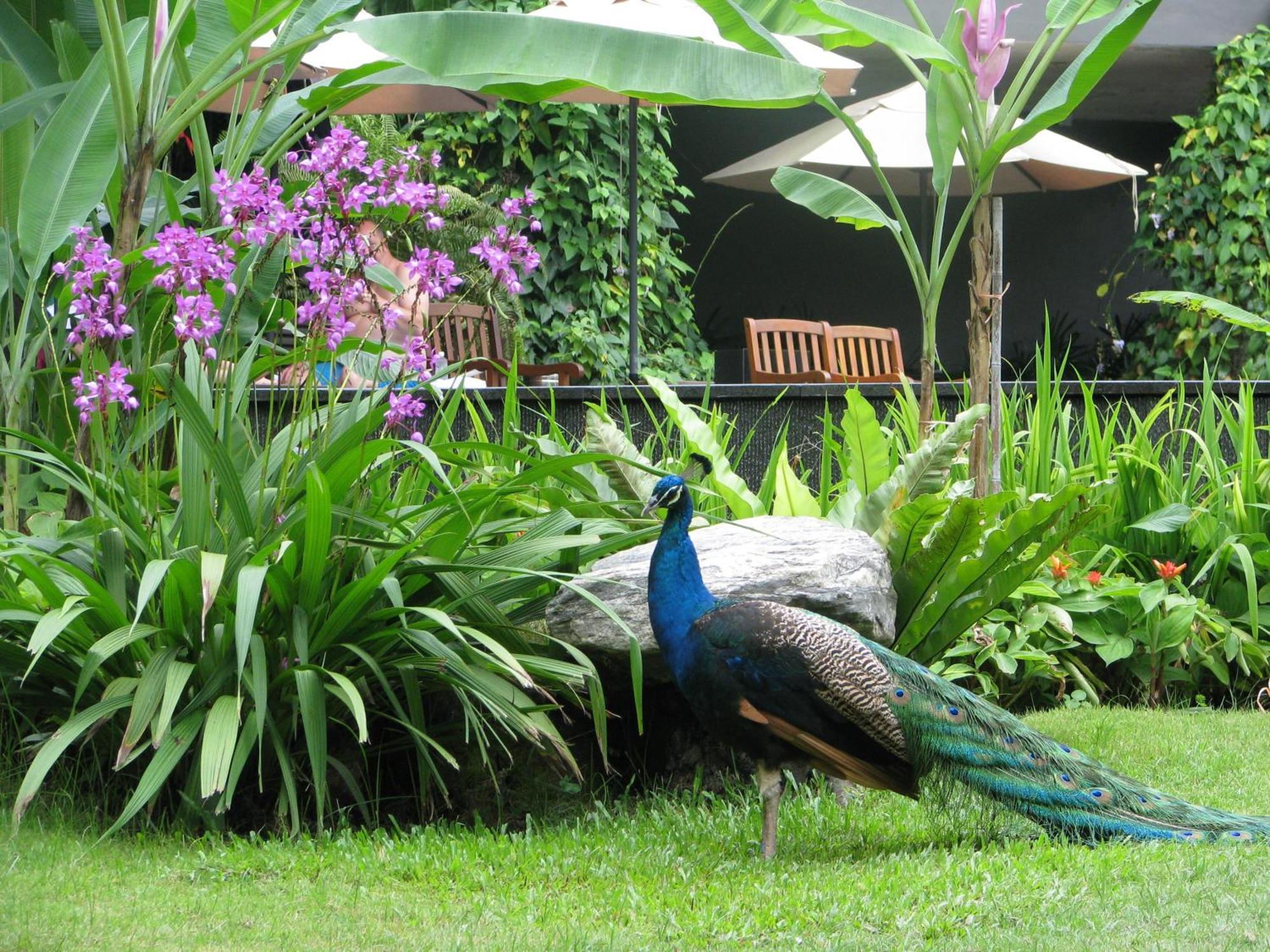 Resort Siloso - Sentosa 4*