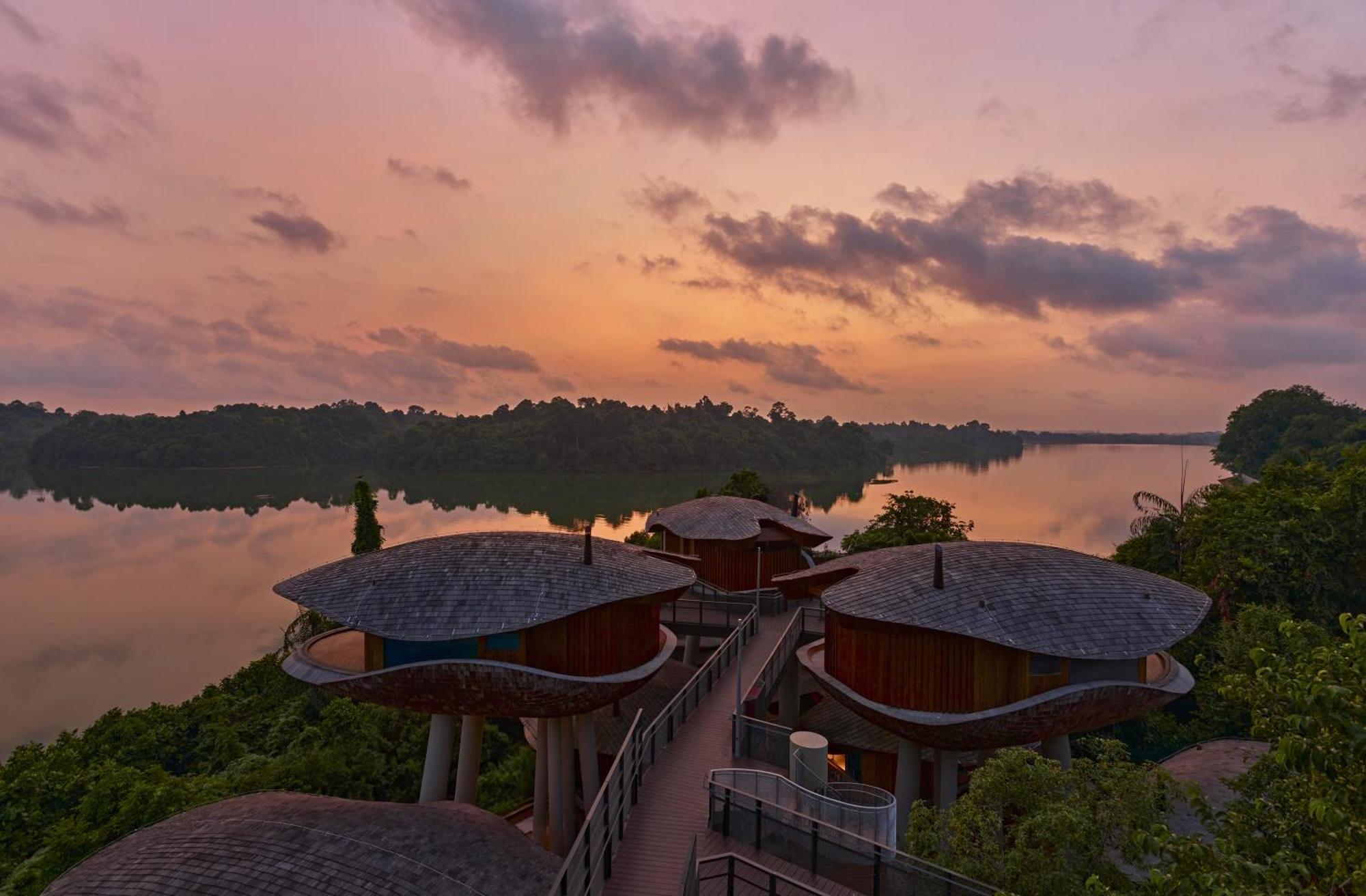 Mandai Rainforest By Banyan Tree
