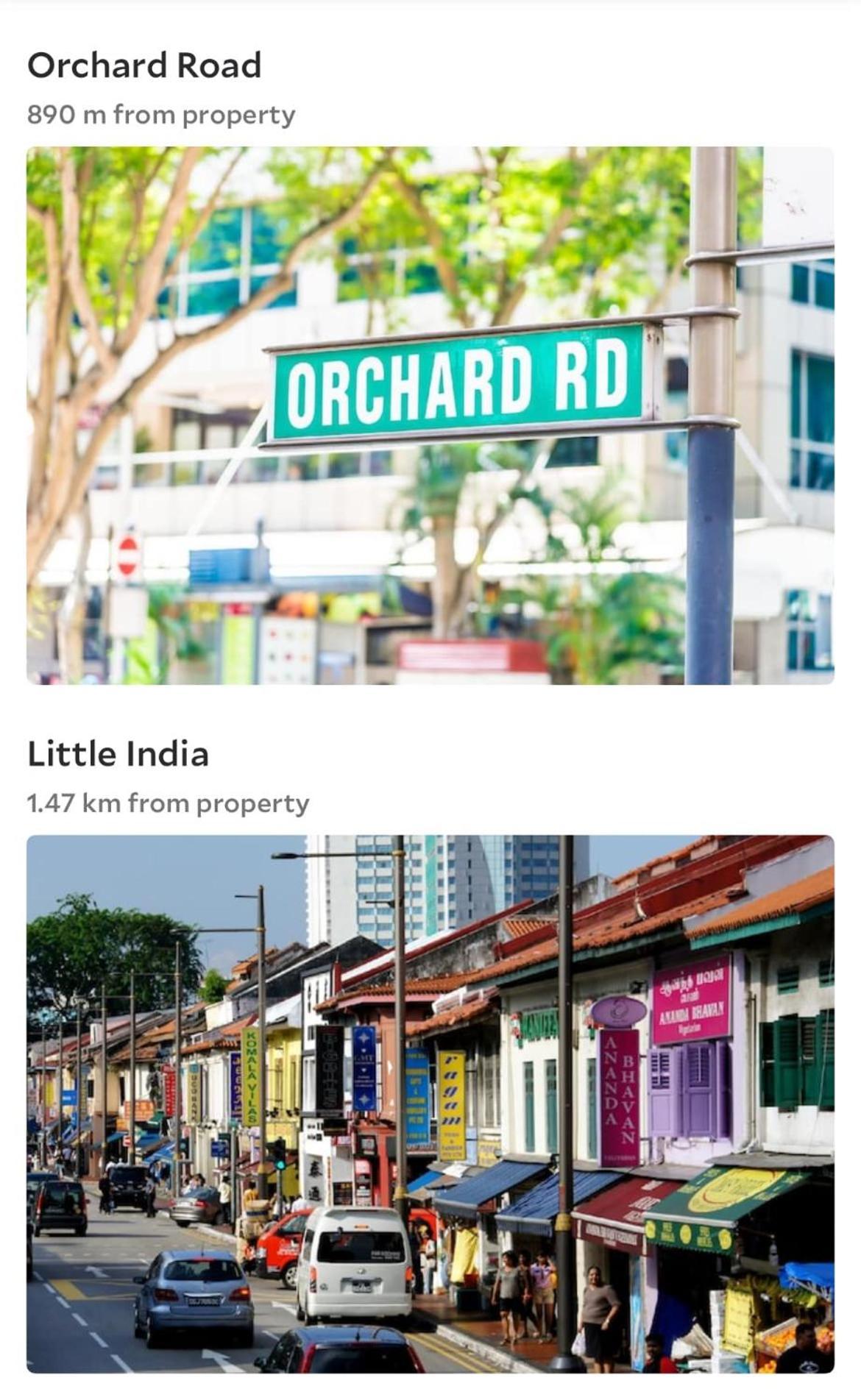 Oasis In The Heart Of Singapore
