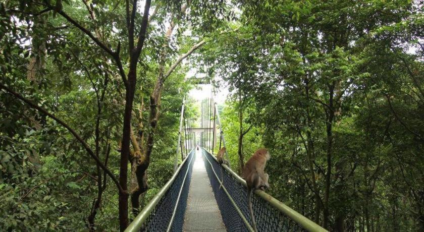 Asrama G4 Station Backpackers Singapore