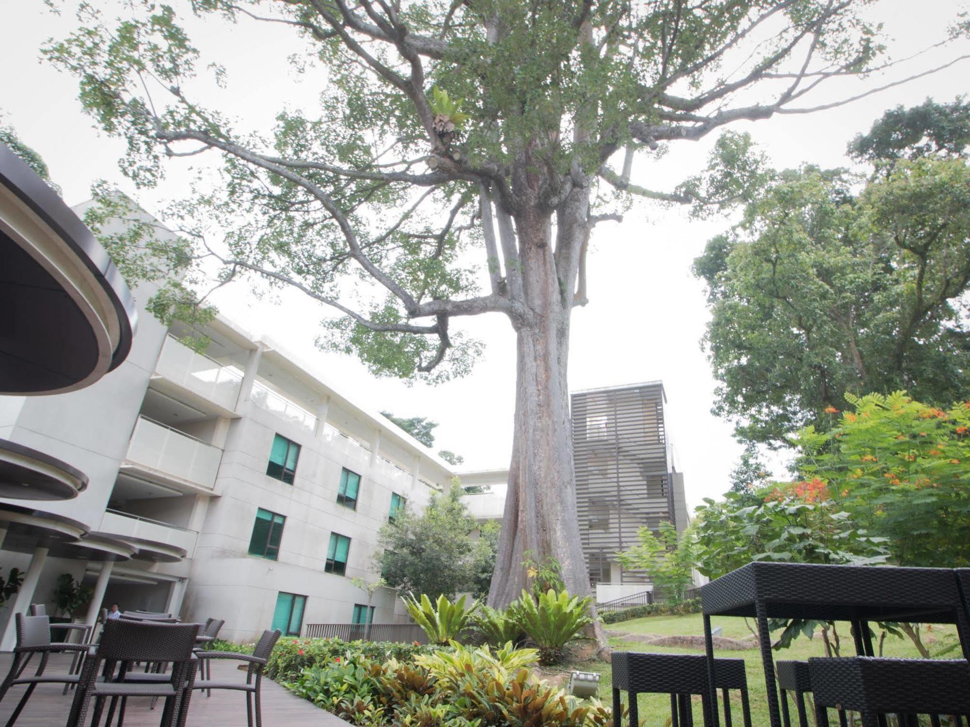 Changi Cove 4*