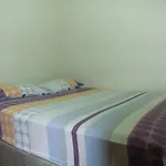 Hawaii Hostel