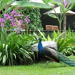 Siloso Beach Resort - Sentosa