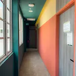 Futura Boutique Hostel
