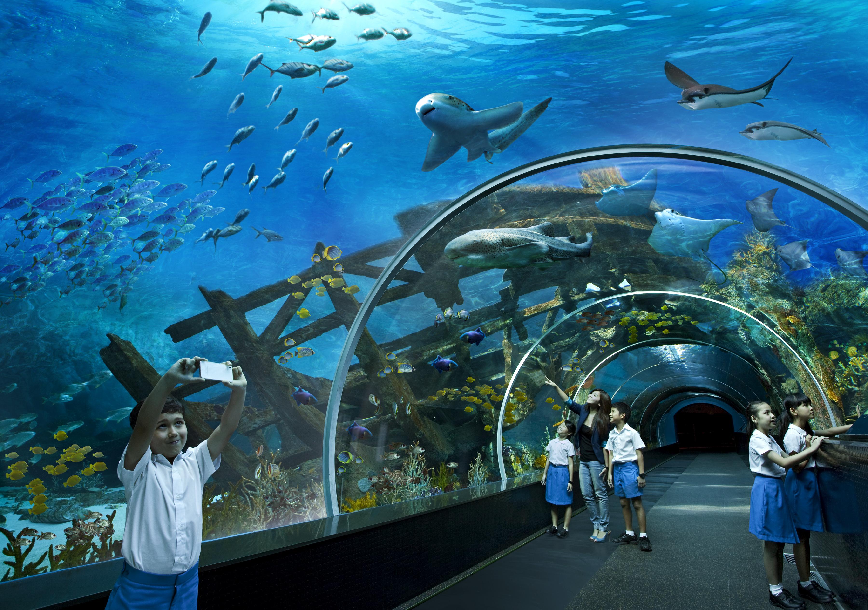 Resor World Sentosa - Michael
