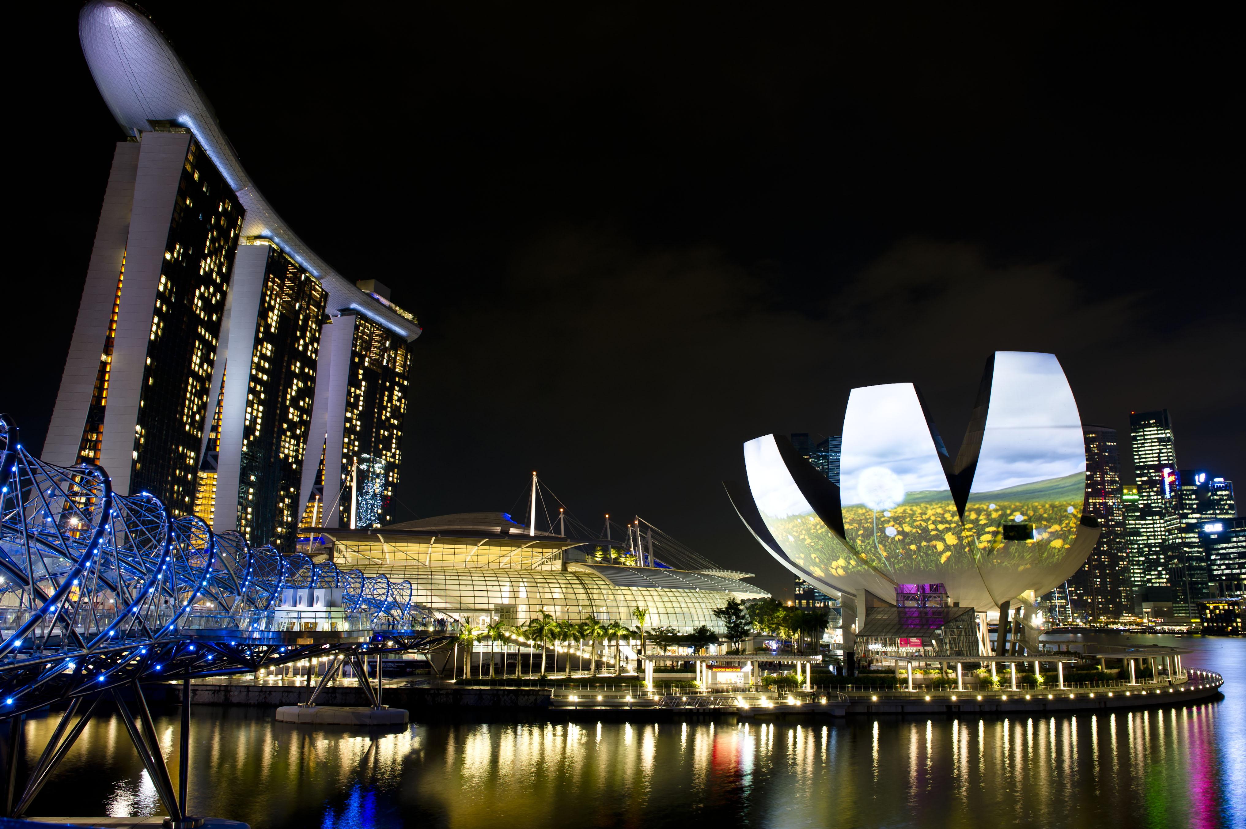 Marina Bay Sands Hotel