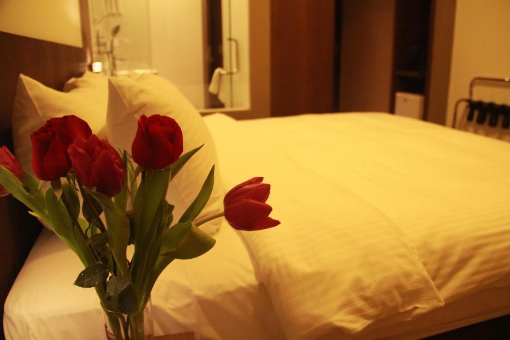 Cove D'arena Aparthotel