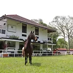 Villa Umbrella Singapore