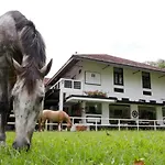 Villa Umbrella Singapore
