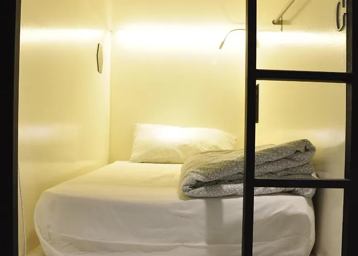 Beary Nice Pod Hostel