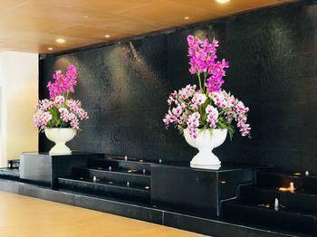 Orchid Country Club