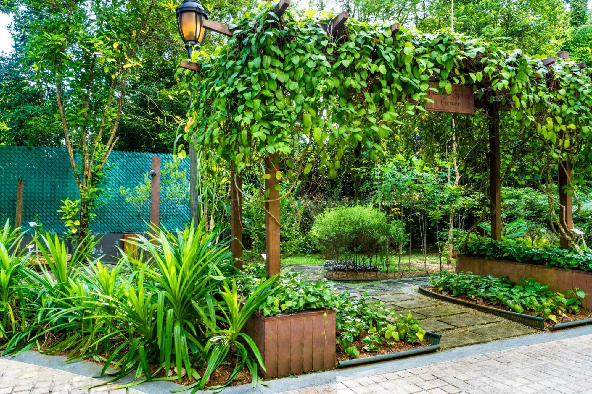 Aparthotel Treetops Executive Residences 5*