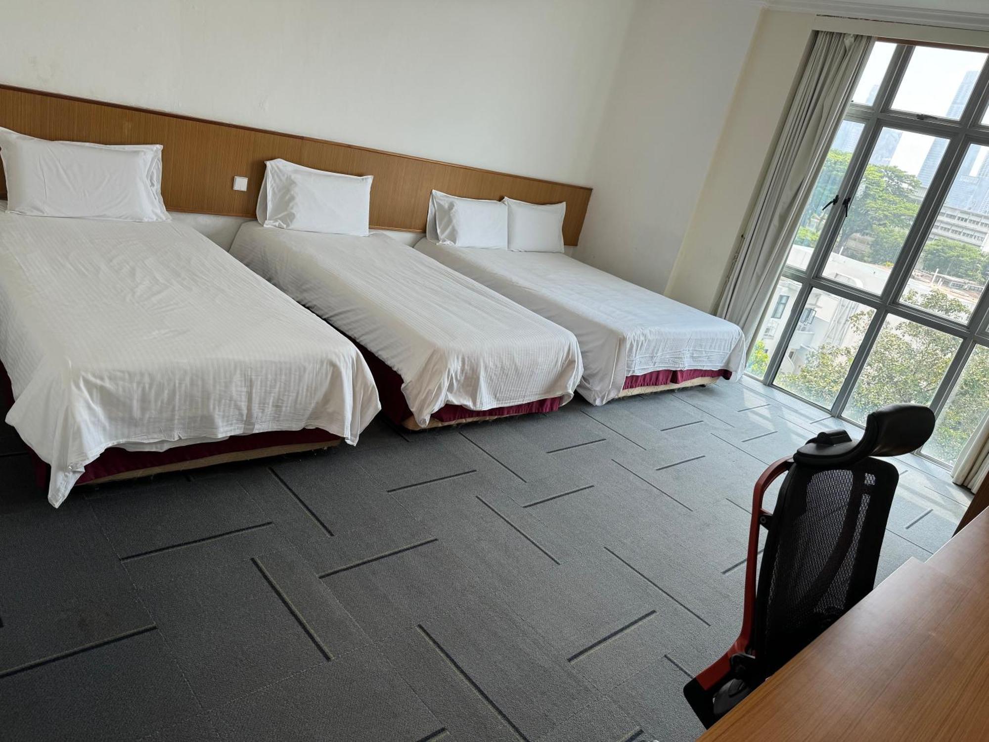 Hotel New Cape