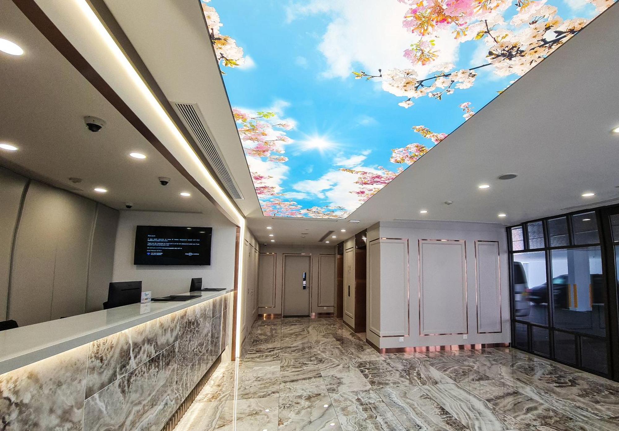 81 Palace - Newly Renovated 2*