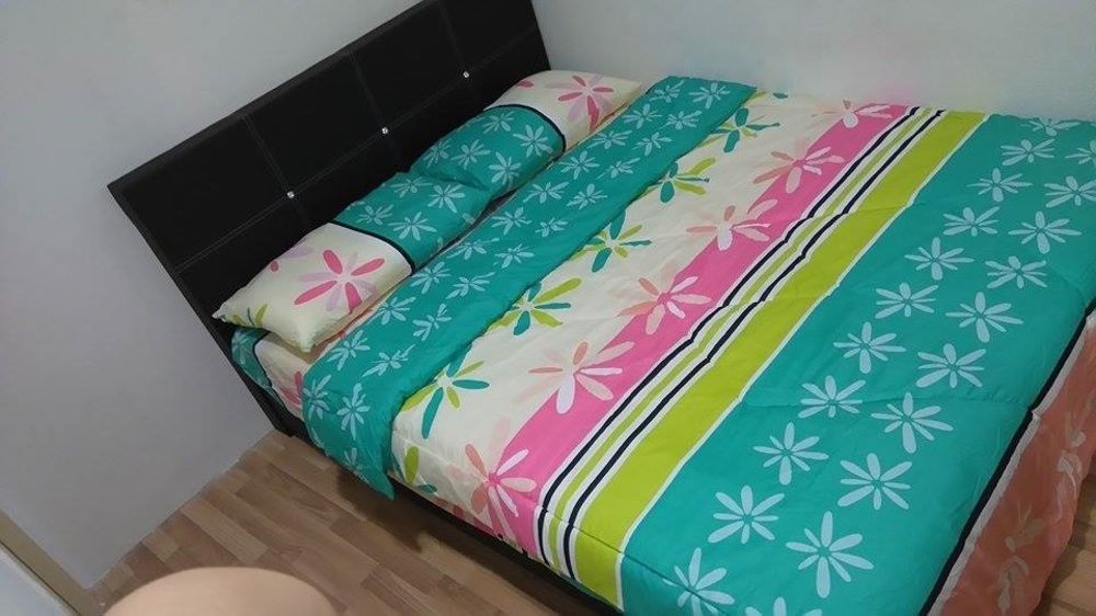 Hostel New Society Backpackers *
