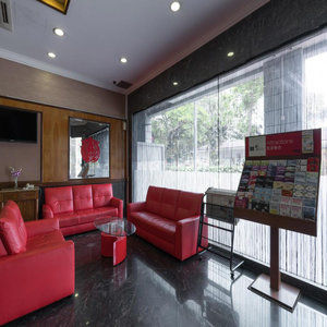 New Cape Hotel 3*
