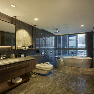 Hotel Ascott Orchard