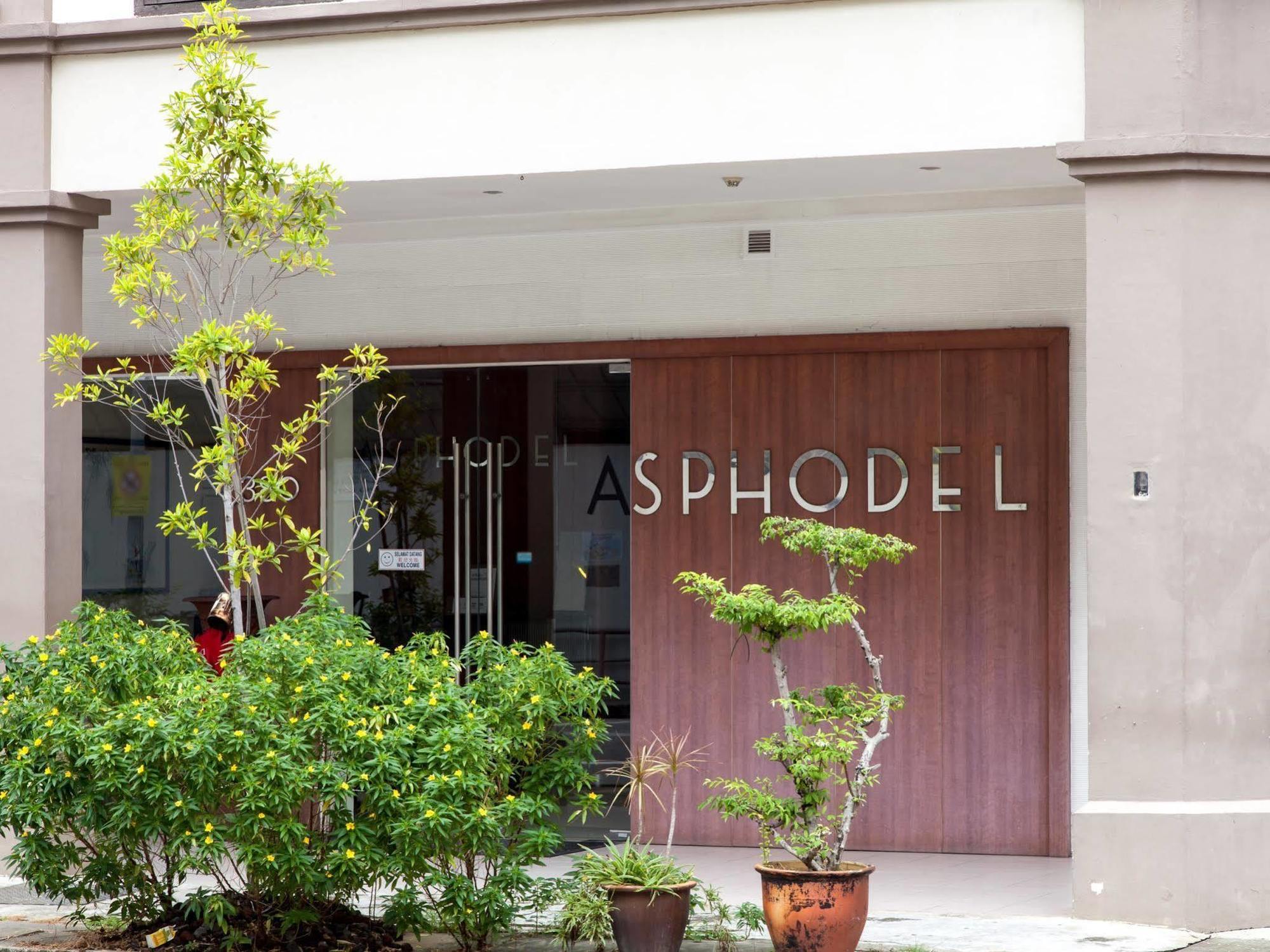 Hotel Asphodel