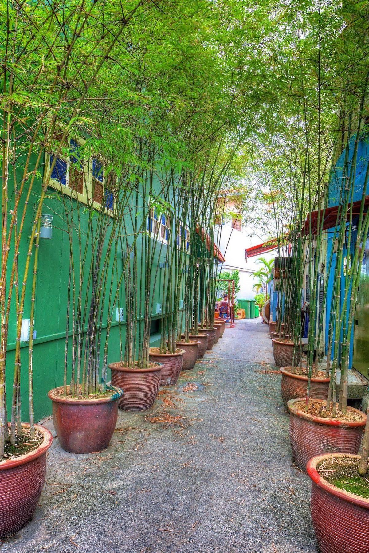 Superb * Singapore