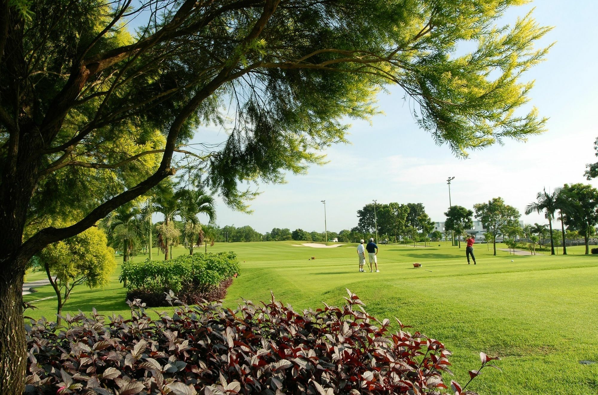 Tempat peranginan Orchid Country Club