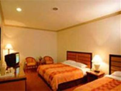 Ambassador Transit Terminal 2 Hotel 3*